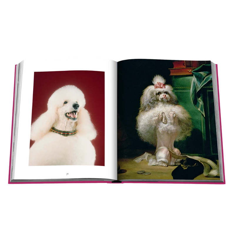 Chic Dogs | Natalie Jayne Interiors | Perth, WA
