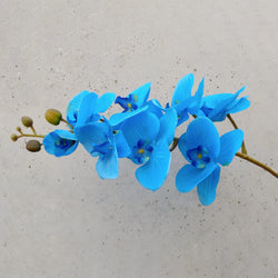 Real touch silk phalaenopsis orchid in bright blue. long flexible stem 78cm | Fake flowers, Perth