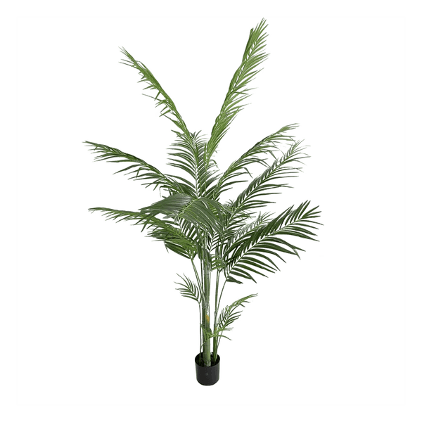 Potted Areca Palm - 1.8m | Fake plants and greenery Perth WA