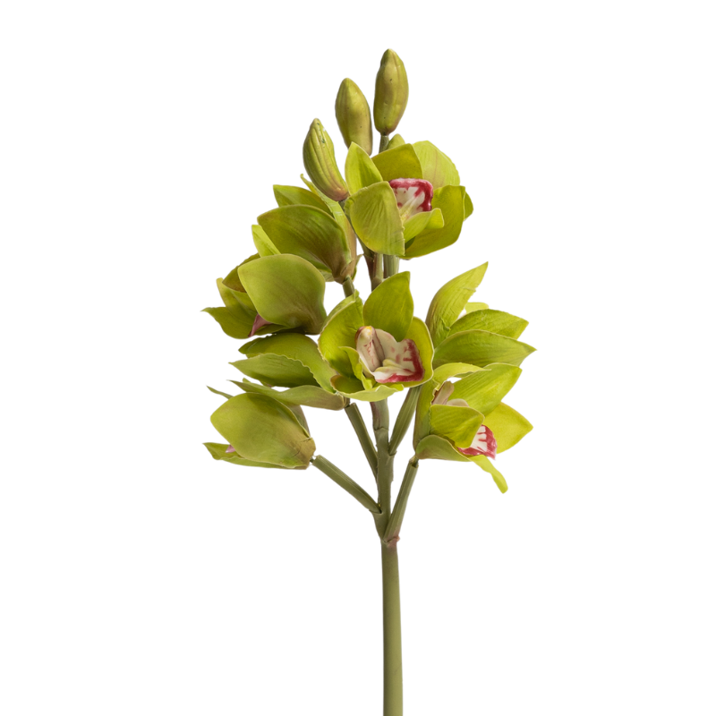 Cymbidium Orchid Spray Green | Natalie Jayne Interiors | Perth, WA