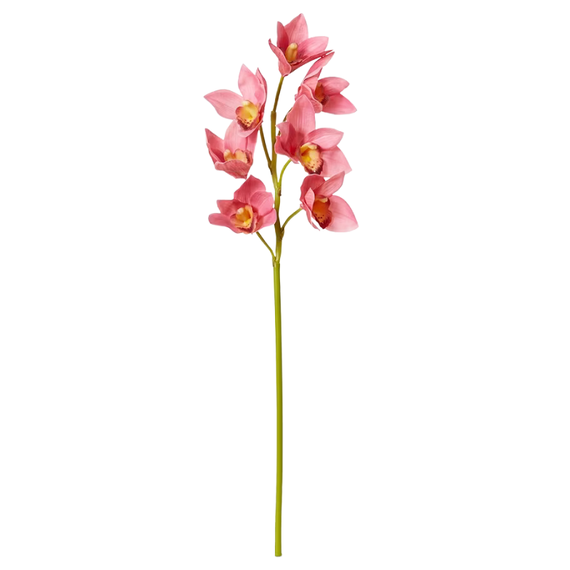 Cymbidium Orchid Stem - Mauve