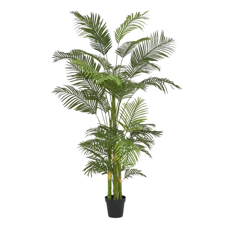 Real Touch Palm Tree - 210cm