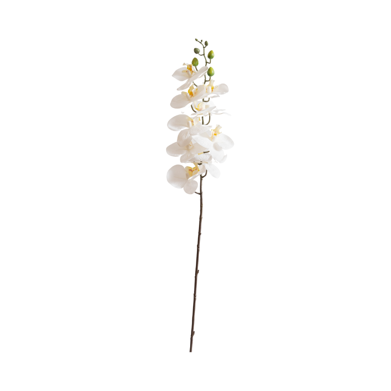 Orchid - 33" White