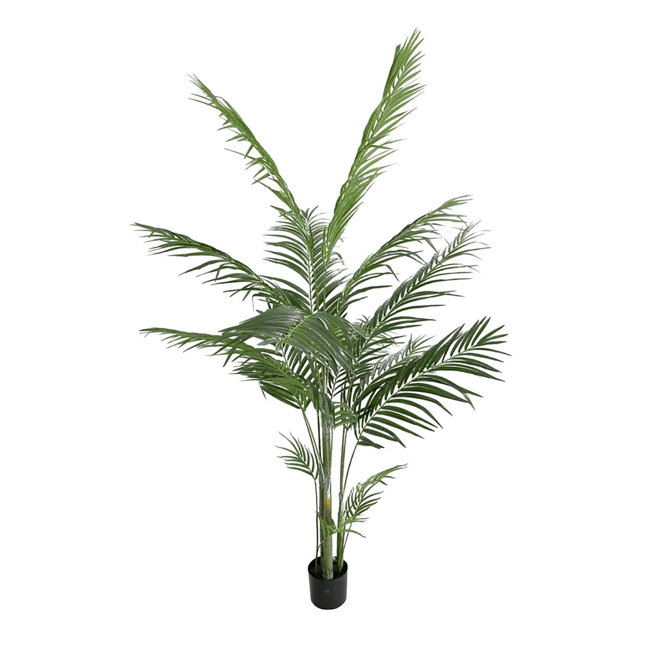 Potted Areca Palm - 1.8m | Fake plants and greenery Perth WA