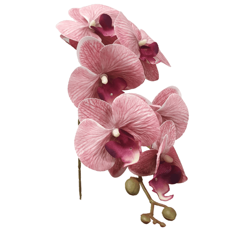 Artificial Phalaenopsis Orchid - Pink - 1m stem - Decorative Accessories & Fake Flowers Perth WA