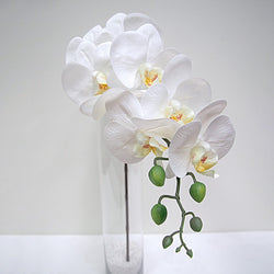 Orchid - 33" White