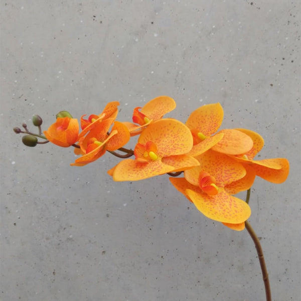 Real touch silk phalaenopsis orchid in orange. long flexible stem 78cm | Fake flowers, Perth